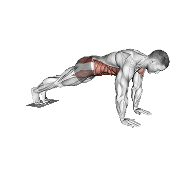 Plank Jack Slide with/جک پلانک ول اسلاید