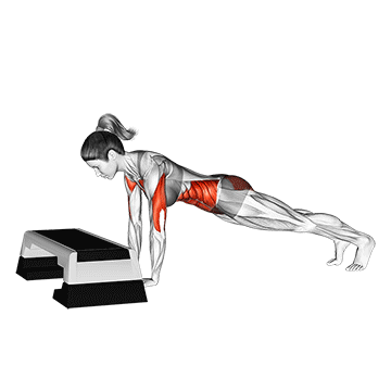 Plank Walk-up/پلانک واک-آپ
