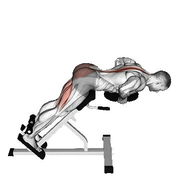 Plate Hyperextension/اکستنشن کمر دستگاه با صفحه