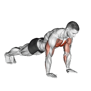 Plyo Push Up/شنا سوئدی پلایو