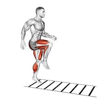 Plyometric Agility Drill/زانوبلند رو به جلو لدر