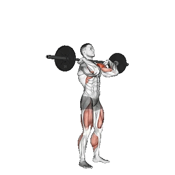 Push Press/پوش پرس هالتر