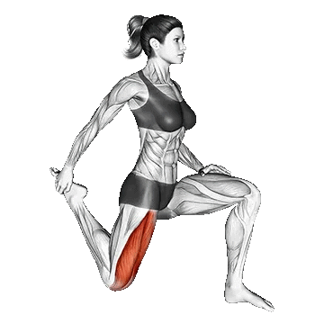 Quadriceps Stretch/کشش عضله چهارسر ران