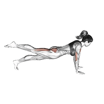 Single Leg Push Up/شنا سوئدی تک پا