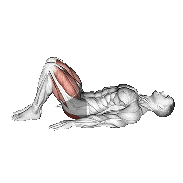 Rear Decline Bridge/پل باسن وزن بدن