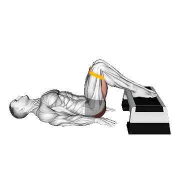 Resistance Band Elevated Glute Bridge/پل باسن با کش لوپ پا رو استپ