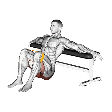 Resistance Band Hip Thrusts/هیپ تراست با کش لوپ