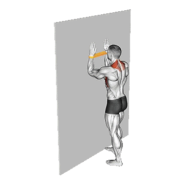 Band Serratus Wall Slide/وال اسلاید کش لوپ سراتوس