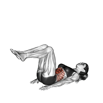 Reverse Crunch/کرانچ معکوس خوابیده