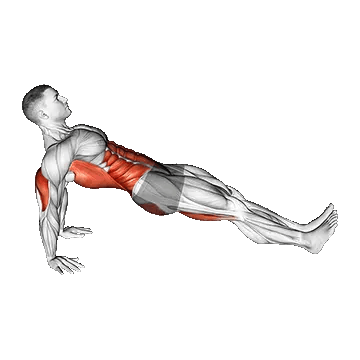 Reverse Plank/پلانک معکوس