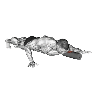 Roll Biceps Lying on Floor/فوم رول جلوبازو