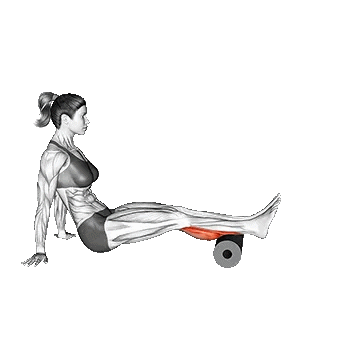 Roll Calves/فوم رول ساق پا