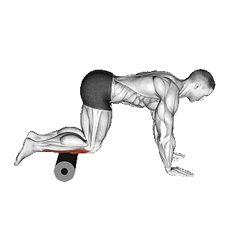 Roll Tibialis Anterior/فوم رول ساق پا (تیبیالیس)