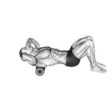 Roll Upper Back/فوم رول پشت