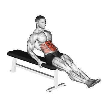 Seated Leg Raise Benefits/کرانچ معکوس نشسته نیمکت