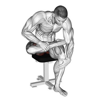 Seated Piriformis Stretch/کشش پیریفورمیس نشسته