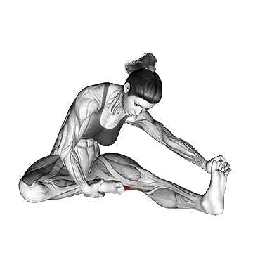 Seated Single Leg Hamstring Stretch/کشش همسترینگ نشسته تک پا