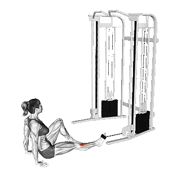 Seated Tibialis Anterior Press/پرس قدامی تیبیالیس نشسته