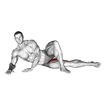 Side Lying Hip Adduction/داخل ران خوابیده وزن بدن