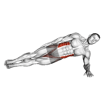 Side Plank/ساید پلانک