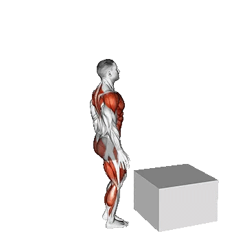 Single Leg Box Jump/ جامپ باکس تک پا