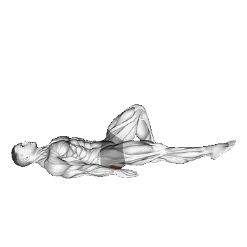 Single Leg Bridge/پل تک پا وزن بدن