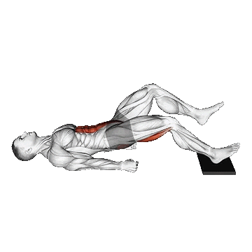 Single Leg Val-Sliding Bridge/پل باسن تک پا ول اسلاید معکوس