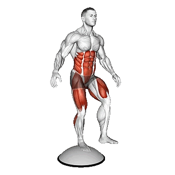 Single Leg Stand on Bosu Ball /تعادلی بوسوبال تک پا