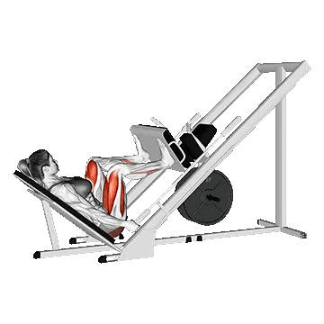 Wide Stance Leg Press/پرس پا