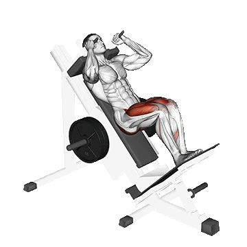Closer Hack Squat / هک اسکات پا جمع