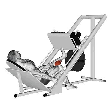 Leg Calf Press on Leg Press/ پرس ساق پا تک پا