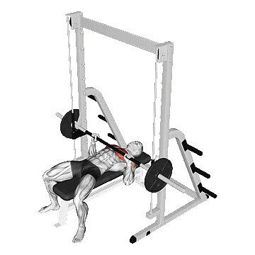 Smith Bench Press/پرس سینه اسمیت