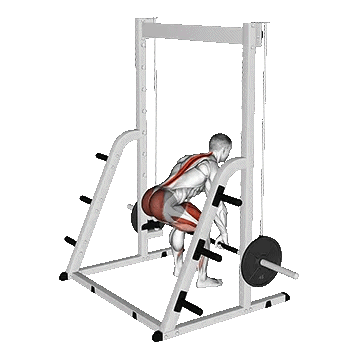Smith Deadlift/ددلیفت اسمیت