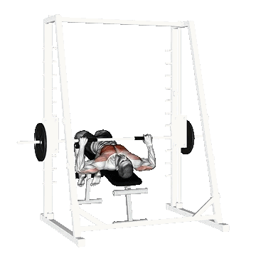 Smith Decline Bench Press/پرس زیر سینه اسمیت