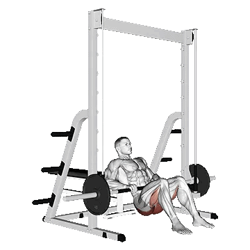 Smith Hip Thrust/ هیپ تراست اسمیت