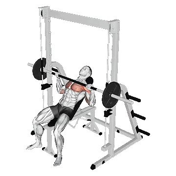 Smith Incline Bench Press/پرس بالا سینه اسمیت