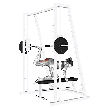 Smith Kneeling Rear Kick/کیک بک اسمیت