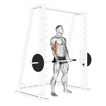 Smith Machine Bicep Curl/جلو بازو بالا اسمیت