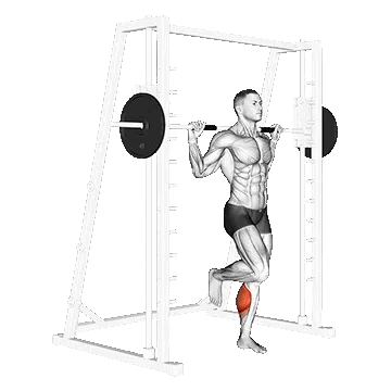 Smith One Leg Floor Calf Raise/ساق پا اسمیت تک پا