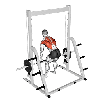 Smith Rear Delt Row/پارویی دست برعکس اسمیت