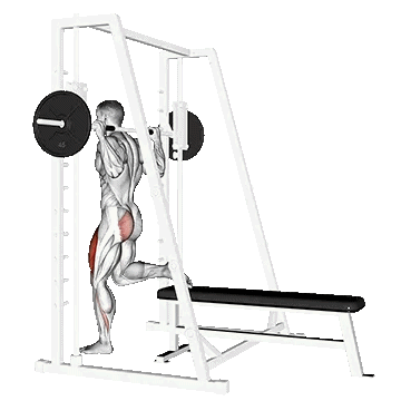 Smith Single Leg Split Squat/اسپلیت اسکات تک پا اسمیت