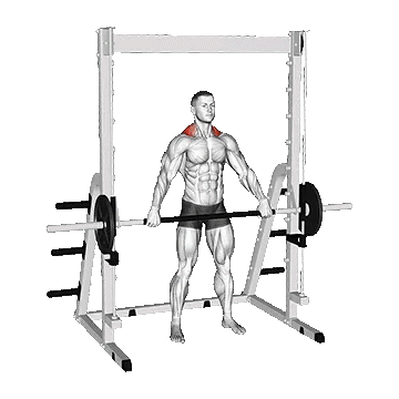 Smith Wide Shrug/ شراگ اسمیت دست باز