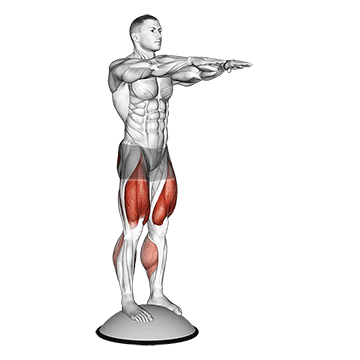 Squat on Bosu Ball/اسکات رو بوسوبال