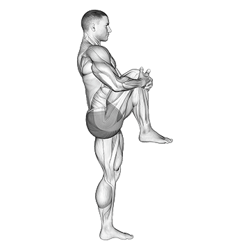 Standing Knee to Chest Stretch/کشش زانو به سینه ایستاده