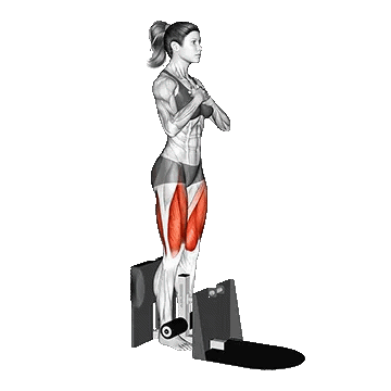 Supported Squat/اسکات با تکیه‌گاه
