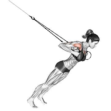 Close Grip Chest Press /پرس سینه دست موازی TRX