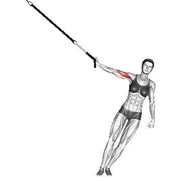 One Arm Biceps Curl/جلو بازو تک دست TRX