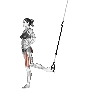 Single Leg Split Squat/اسپلیت اسکات TRX