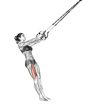 Single Leg Squat/ اسکات تک پا TRX