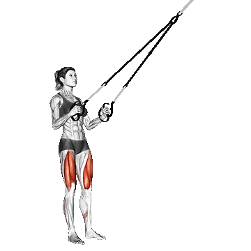 Suspender Squat TRX/اسکات TRX